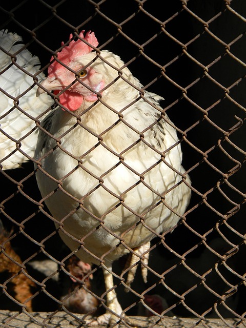 在体育领域 在体育领域