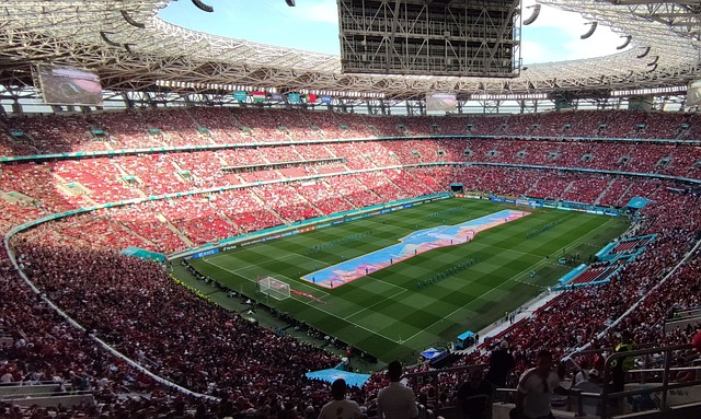 這位年輕的 這位年輕的